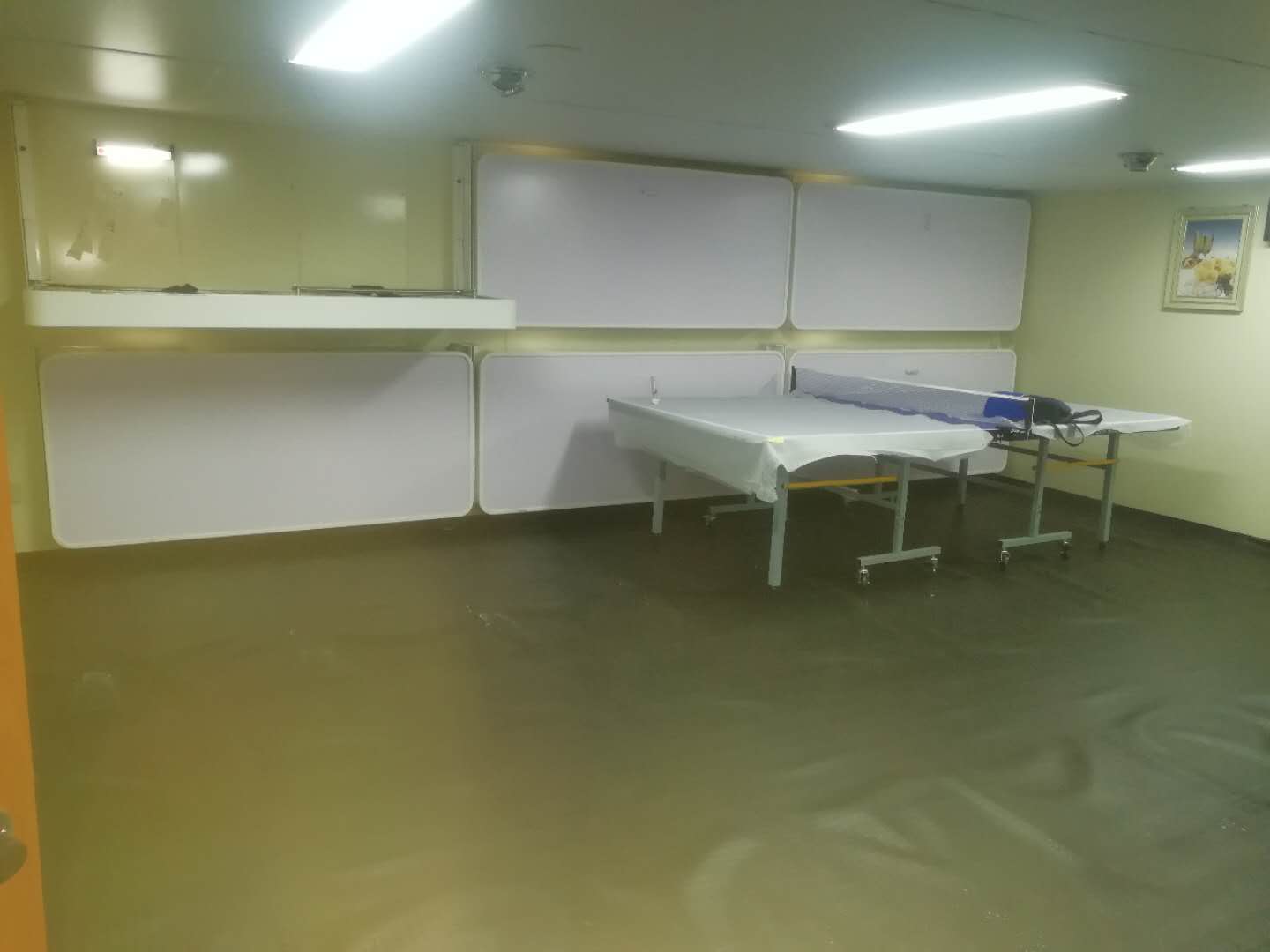 案例展示